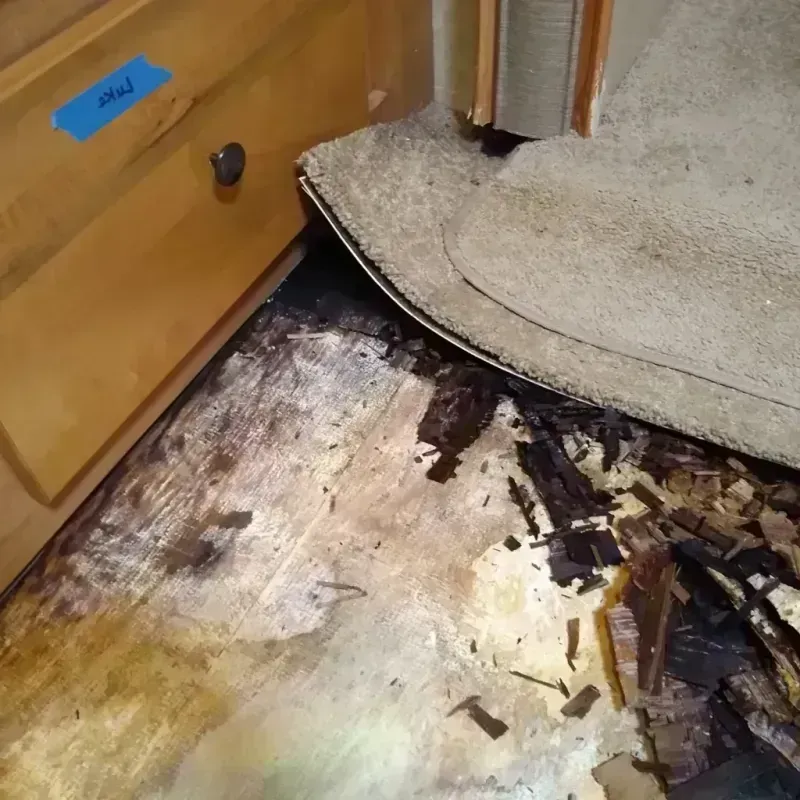 Wood Floor Water Damage in Floyd, VA